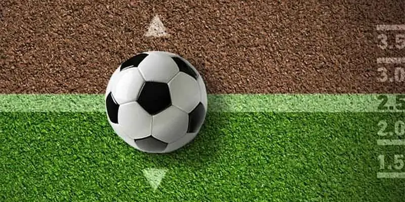Tổng quan sơ lược về Livescore tại 33win